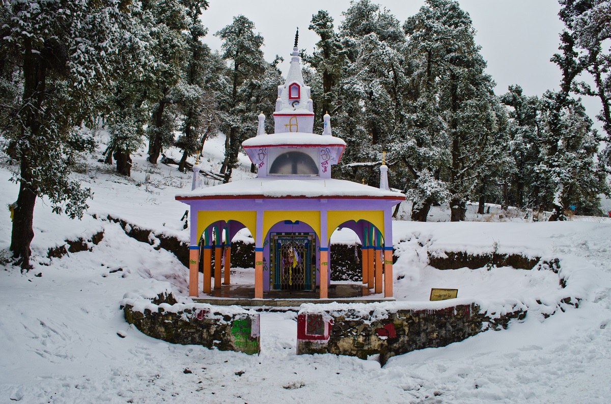 Pantwari – Dehradun