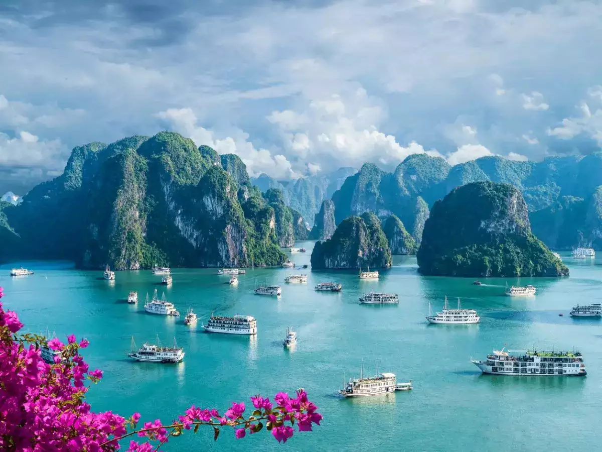 Halong Dreams & Heritage