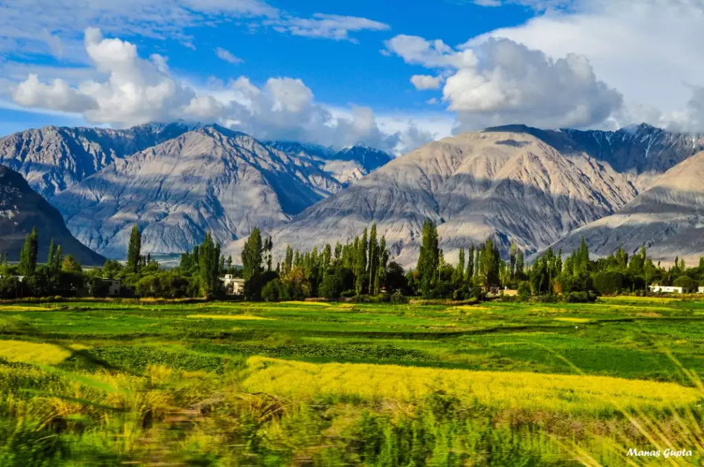  Ladakh Adventure with Pangong Lake