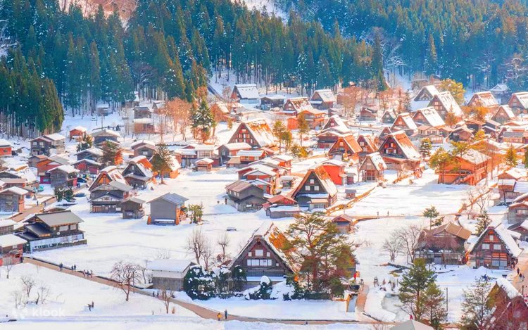 Japan Winter Wonderland Tour