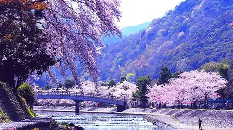 Japan Winter Perfected Tour