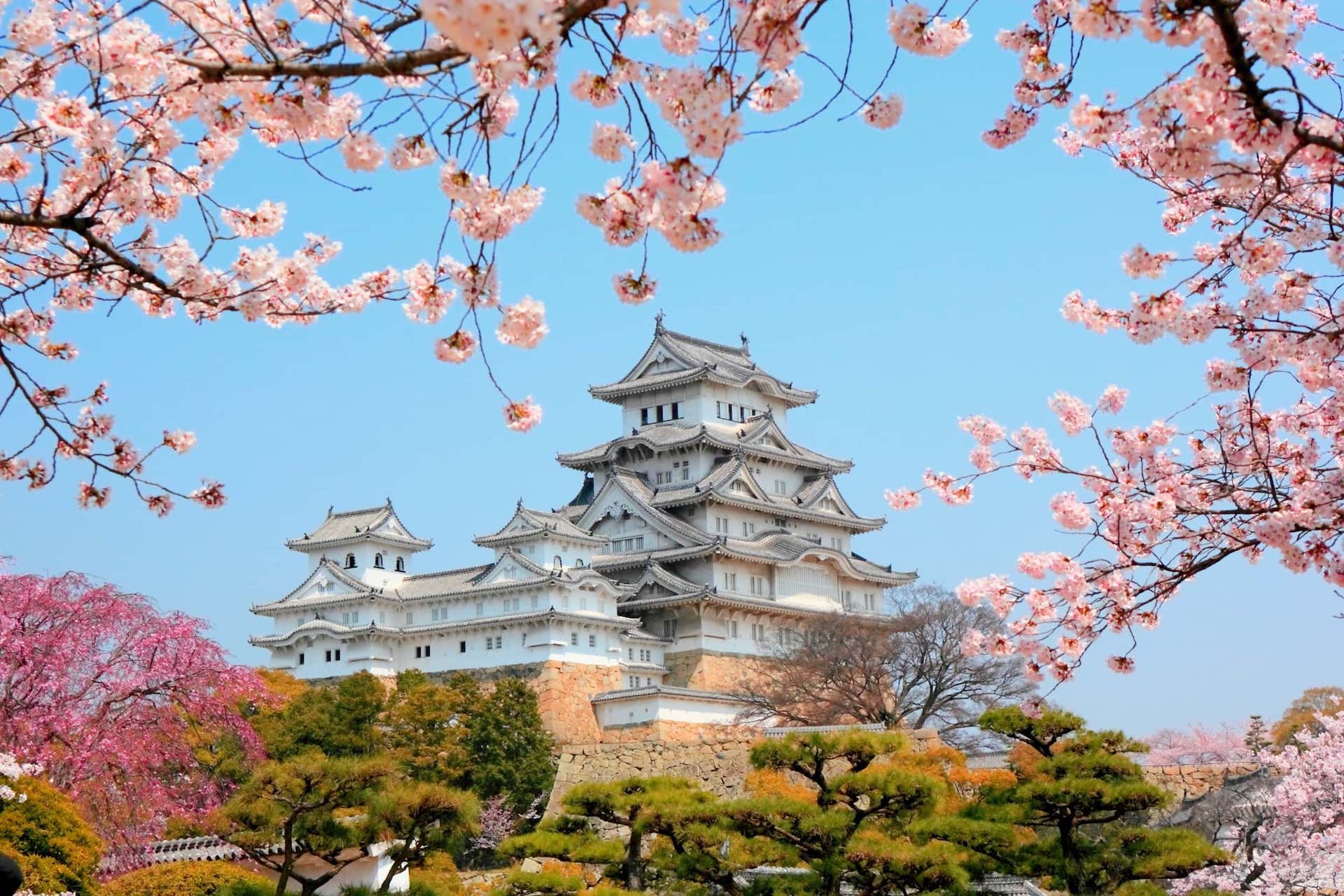 Essential Japan Tour