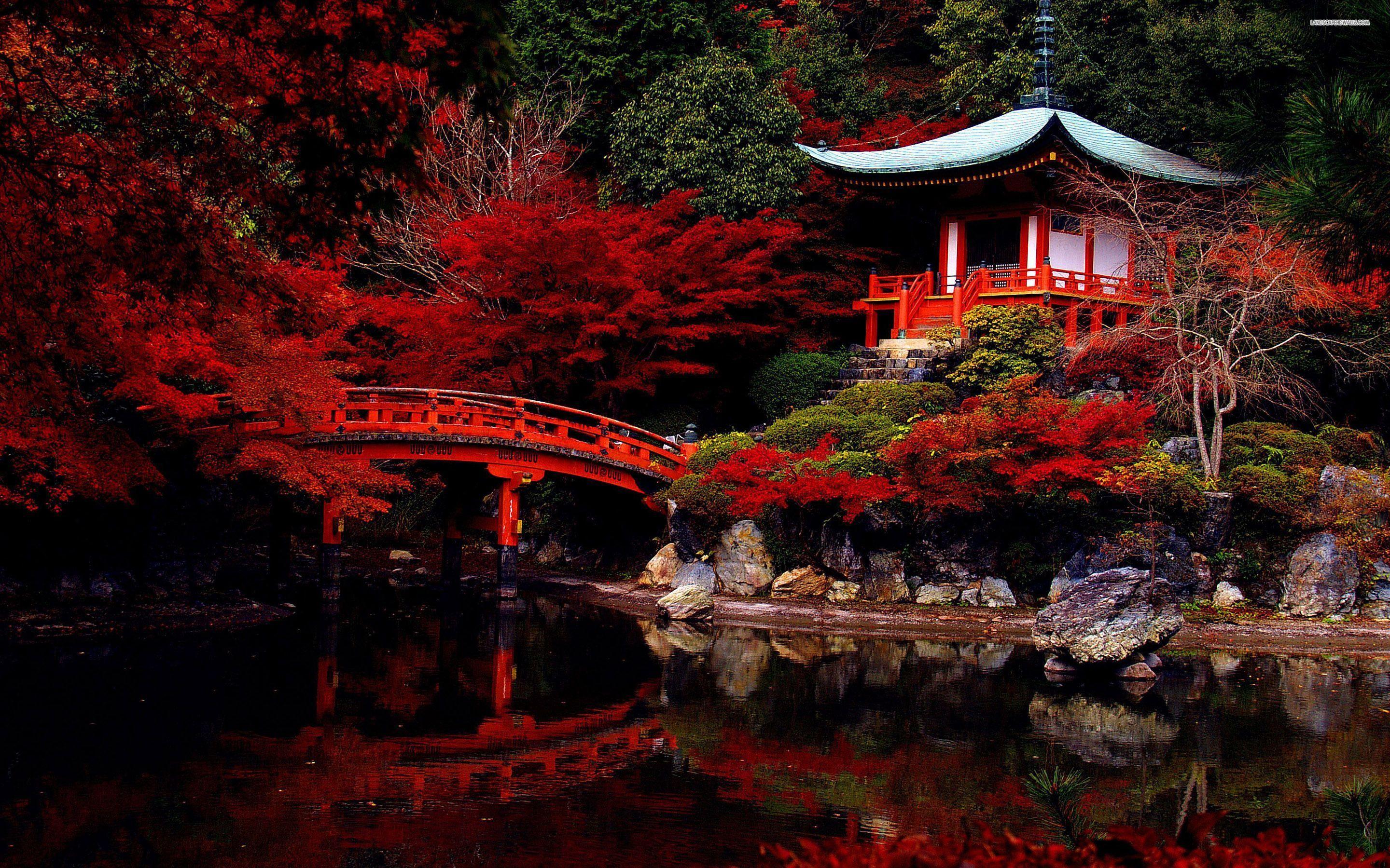 7-Day Essential Japan Tour