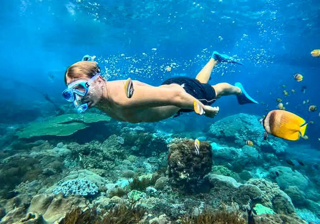Phi Phi Island
