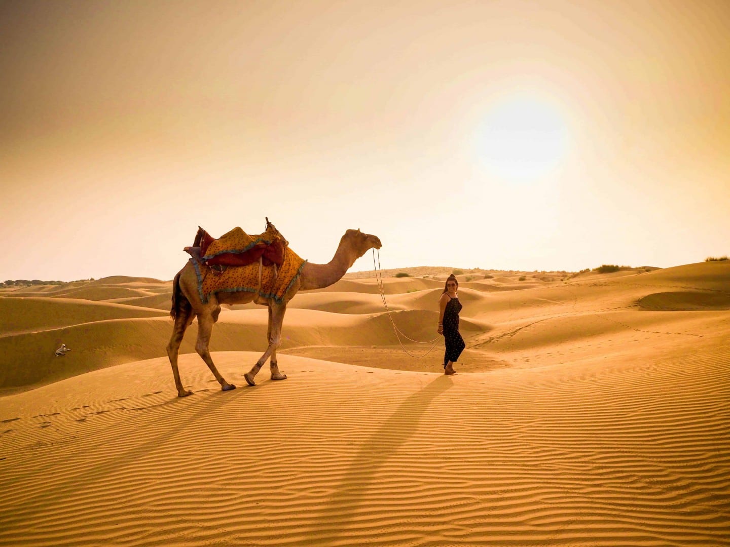 Rajasthan